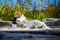 2025 Marionettentheater Der Kleine Prinz fokus visuelle kommunikation DSC4403